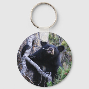 bear key ring