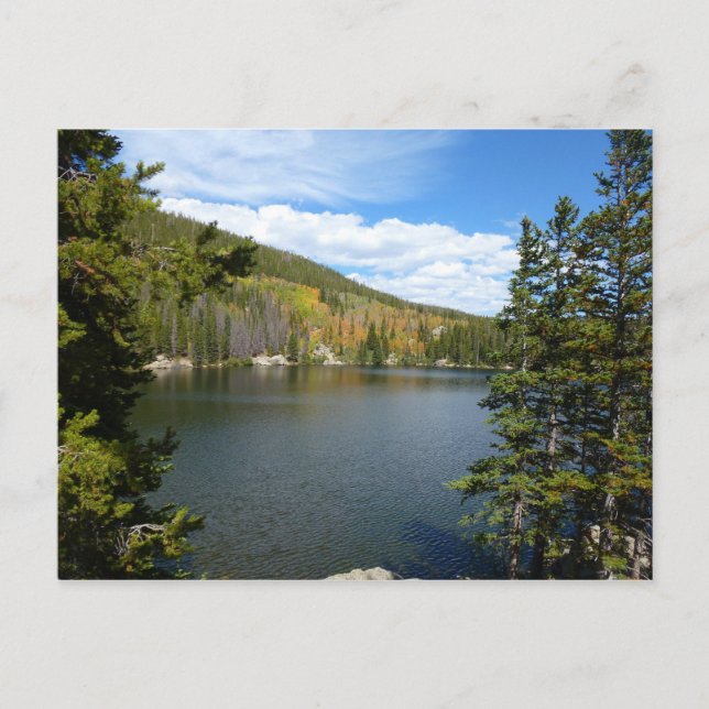 Bear Lake at Rocky Mountain National Park Postcard (Front)