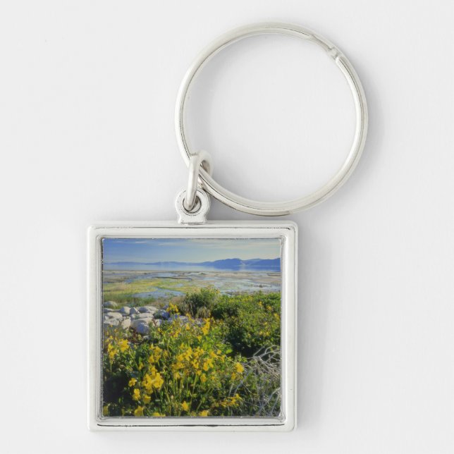 BEAR LAKE, UT, US, monkey-flower & tumbleweed, Key Ring (Front)