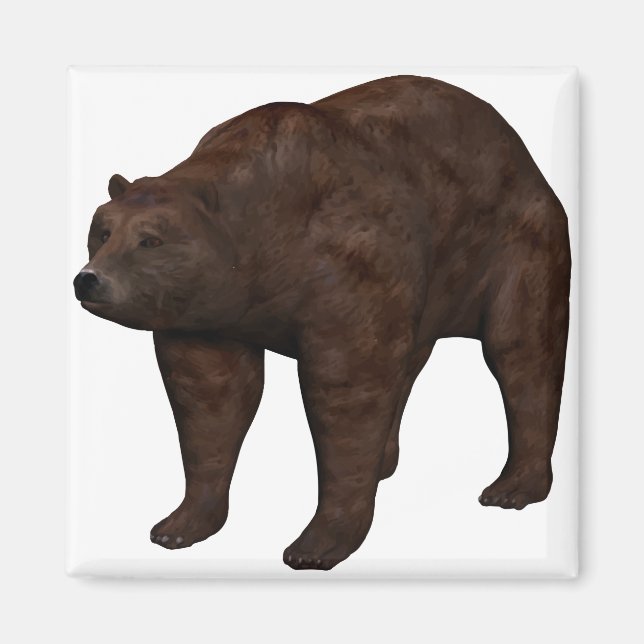 bear magnet (Front)