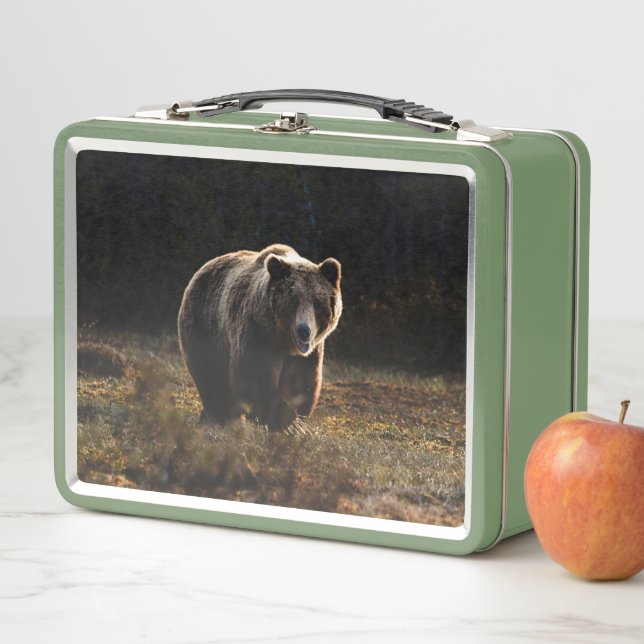 Bear Metal Lunch Box (In Situ)