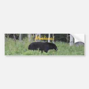 Bear Montana Bumper Sticker