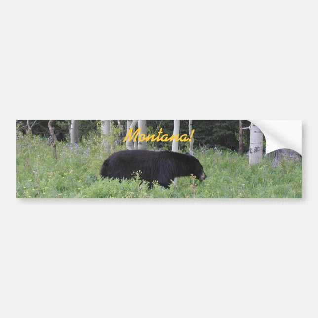 Bear Montana Bumper Sticker (Front)