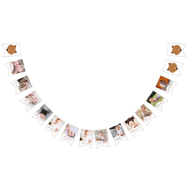 Bear Monthly 1st Birthday 12 Month Photo Bunting (All)