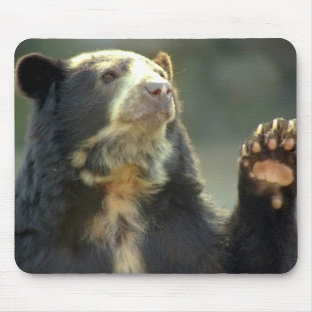 bear mouse mat (Front)