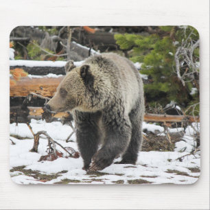 Bear Mouse Mat