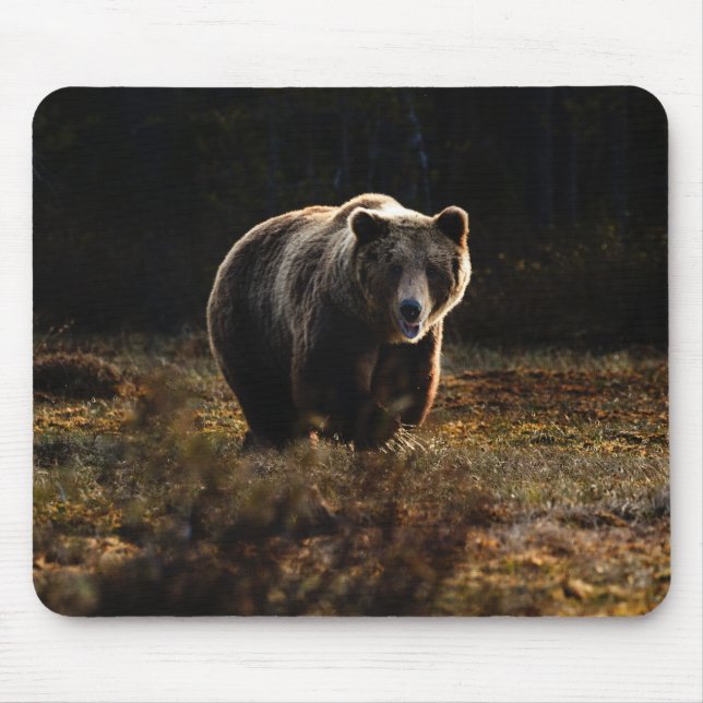 Bear Mouse Pad (Front)