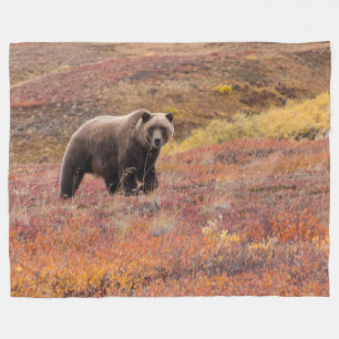 Bear Moves Denali National Park, Alaska in Fall Fleece Blanket