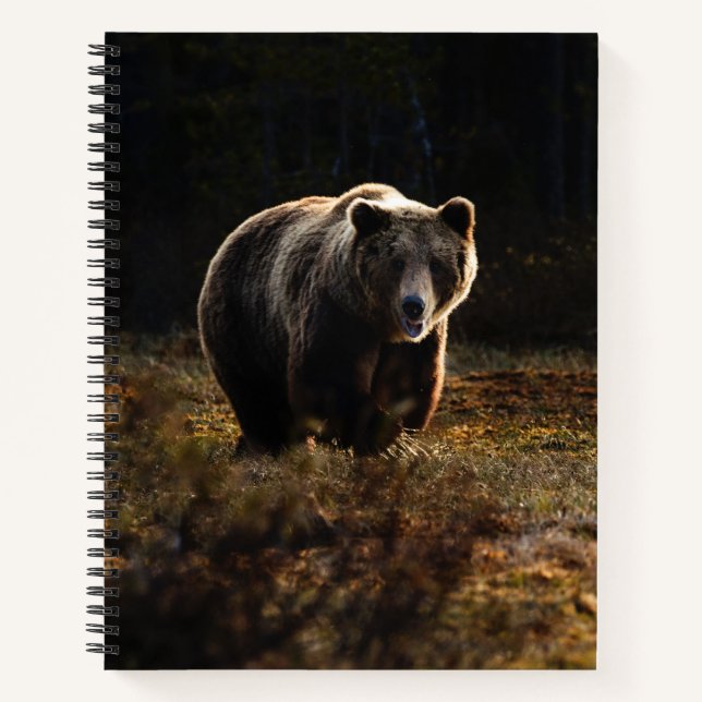 Bear Notebook (Front)