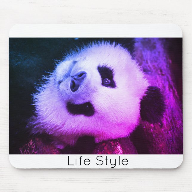 Bear Panda Life Style Trendi Mouse Carpet Mat (Front)