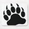 Bear Paw
