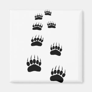Bear Paw Prints Magnet