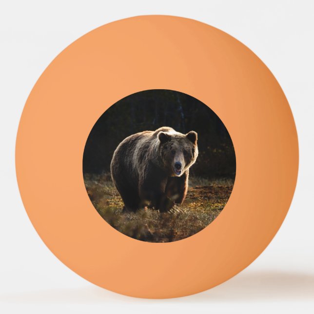 Bear Ping Pong Ball (Front)