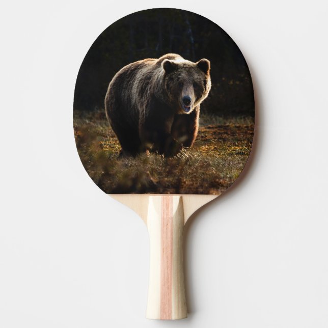 Bear Ping Pong Paddle (Front)