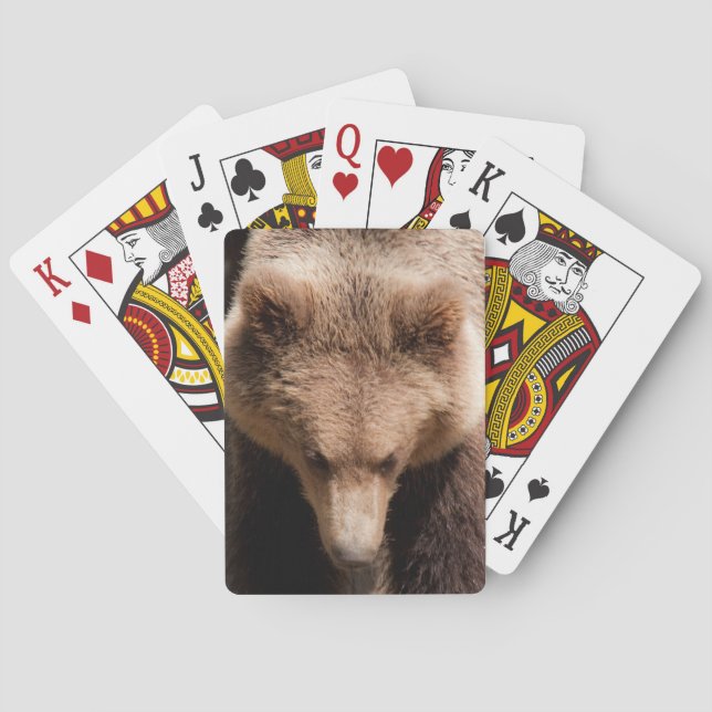 Bear Playing Cards (Back)