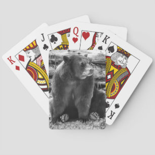 Bear Playing Cards