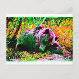 Bear Postcard
