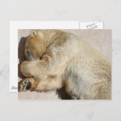 bear postcard (Front/Back)