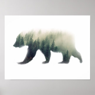 Bear Poster