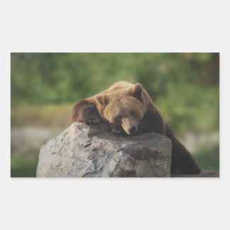 bear  rectangular sticker