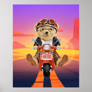 Bear Riding Scooter Desert Sunset Poster