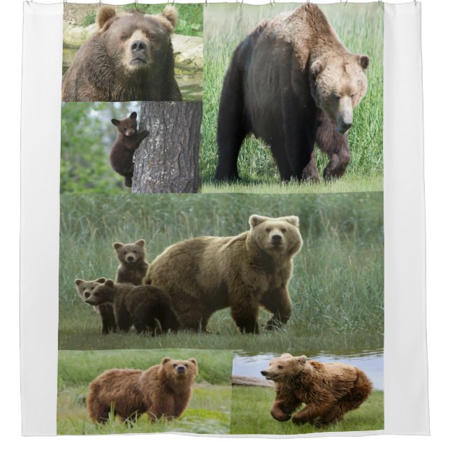 Bear Shower Curtain (Front)