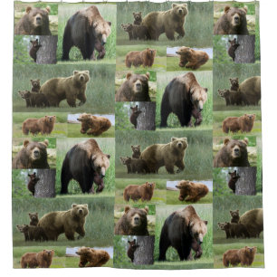 Bear shower curtain