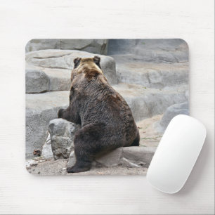Bear Sitting On a Rock Mouse Mat