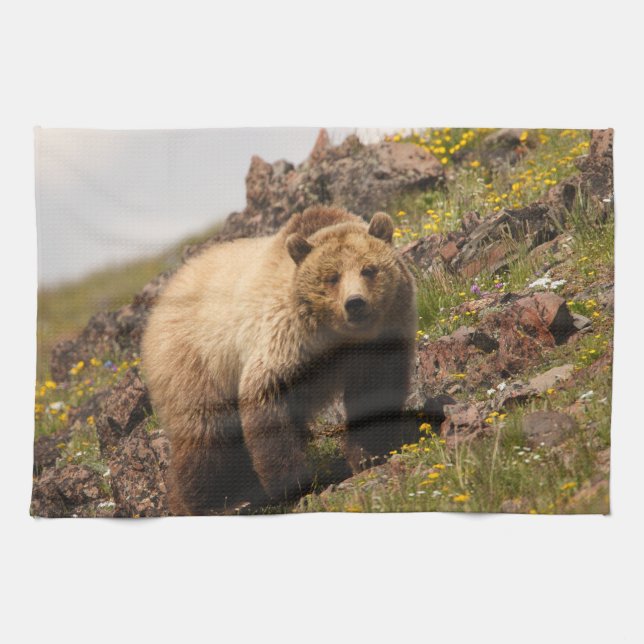 bear tea towel (Horizontal)