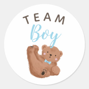 Bear Team Boy Gender Reveal Party Vote  Classic Round Sticker