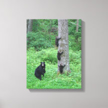 Bear & Three Cubs - Canvas Print - Kessea