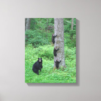 Bear & Three Cubs - Canvas Print - Kessea