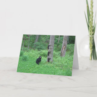 Bear & Three Cubs - Cards - Reitzner