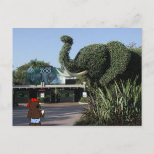 'Bear Visits Family' CA Postcard