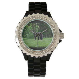 Bear watch