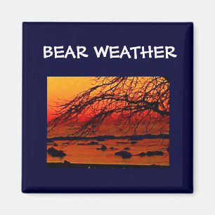 BEAR WEATHER MAGNET