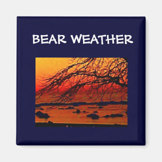 BEAR WEATHER MAGNET