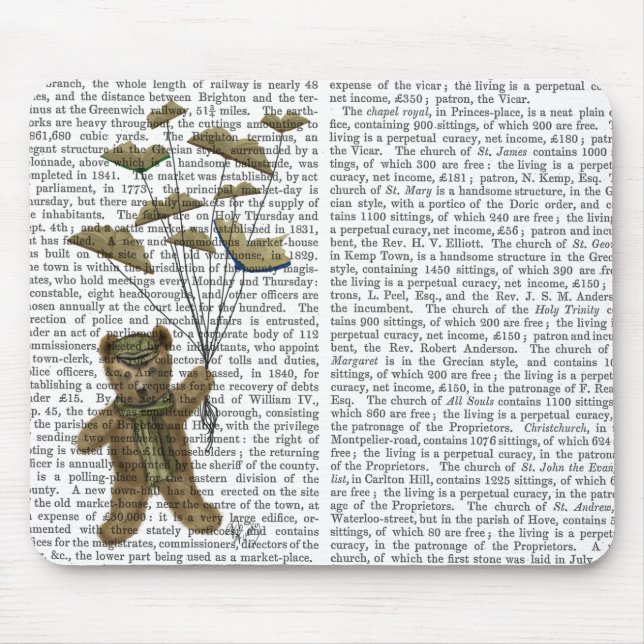 Bear with Book Butterflies Mouse Mat (Front)