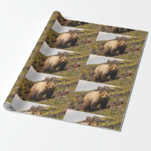 bear wrapping paper