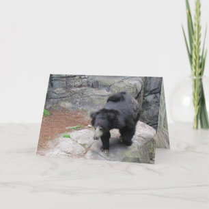 Bear-y Happy Fun Lovin' Monkeying Around Birthday Card