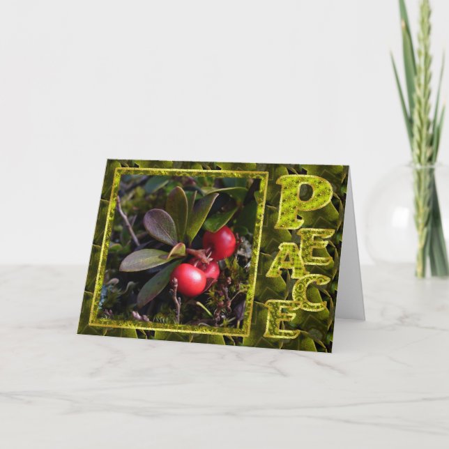 Bearberry Christmas, Unalaska Alaska Holiday Card (Front)