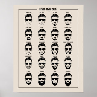 beard style guide poster