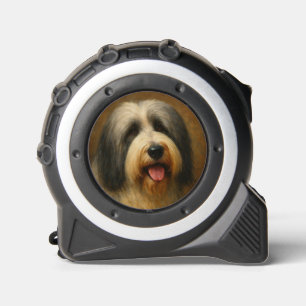Bearded Collie 1