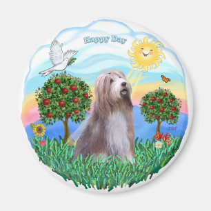 Bearded Collie (brown-white) Magnet