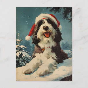 Bearded Collie Christmas Postcard