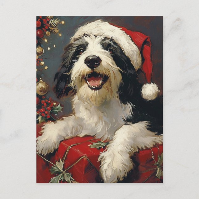 Bearded Collie Christmas Postcard (Front)