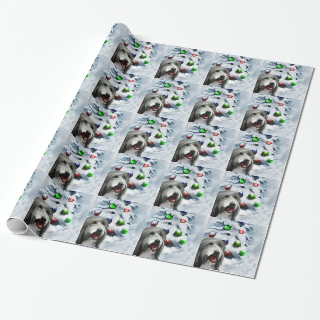 Bearded Collie Christmas Wrapping Paper (Unrolled)