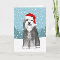 Bearded Collie Cute Dog Christmas Custom