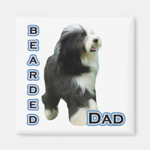 Bearded Collie Dad 4 - Magnet