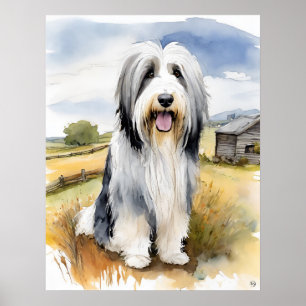 Bearded Collie- Dog Art Print